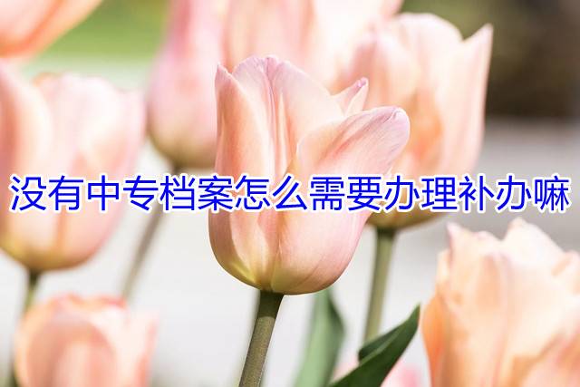 没有中专档案需要办理补办嘛