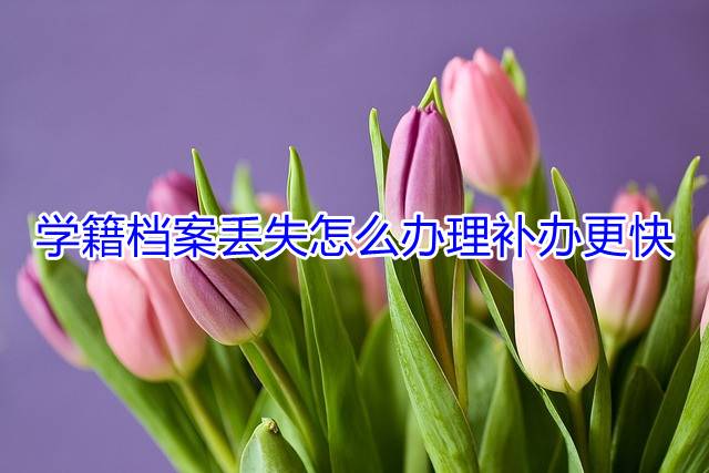 学籍档案丢失怎么办理补办更快