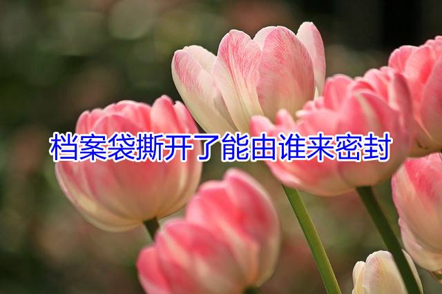 档案袋撕开了能由谁来密封