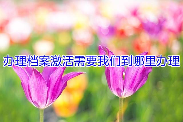 办理档案激活需要我们到哪里办理