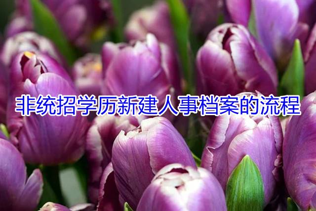 非统招学历新建人事档案的流程