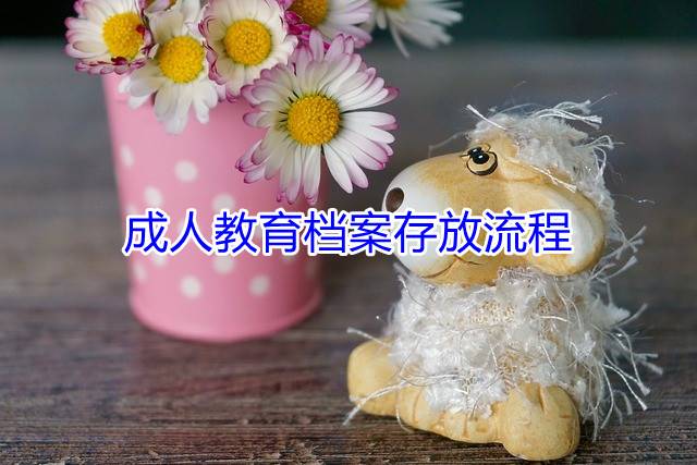 成人教育档案存放流程