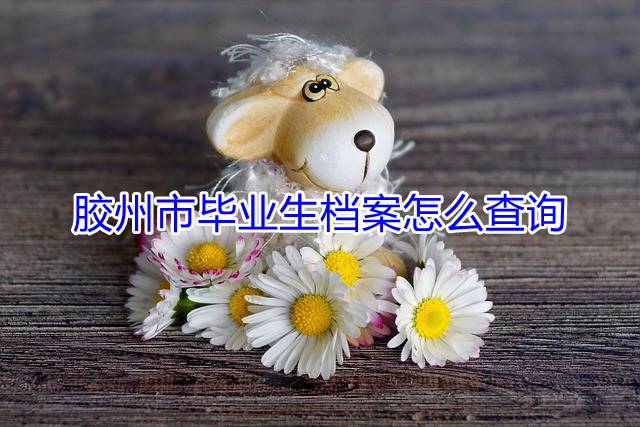 胶州市毕业生档案怎么查询