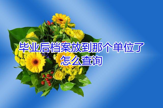 毕业后档案放到那个单位了怎么查询