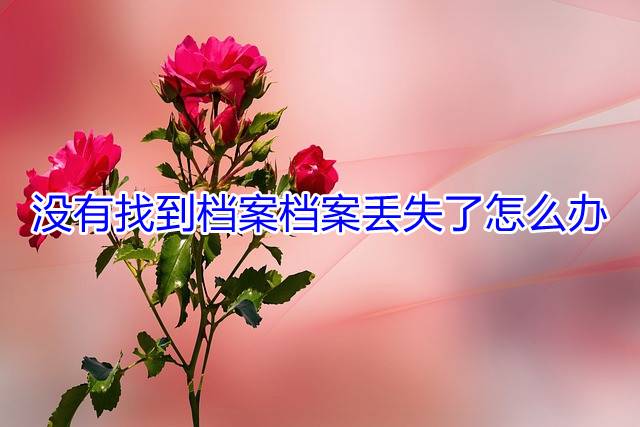 没有找到档案档案丢失了怎么办