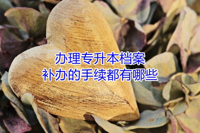 办理专升本档案补办的手续都有哪些