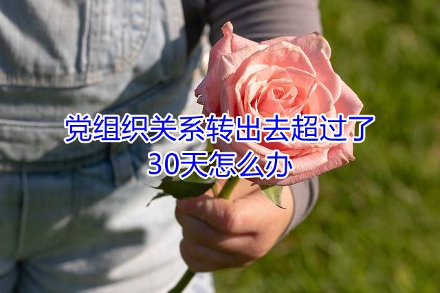 党组织关系转出去超过了30天怎么办