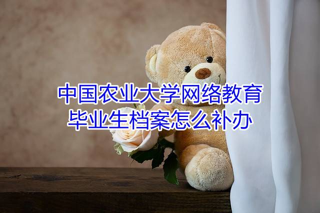 中国农业大学网络教育毕业生档案怎么补办