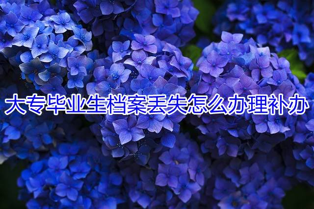 大专毕业生档案丢失怎么办理补办