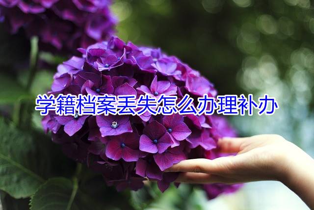 学籍档案丢失怎么办理补办