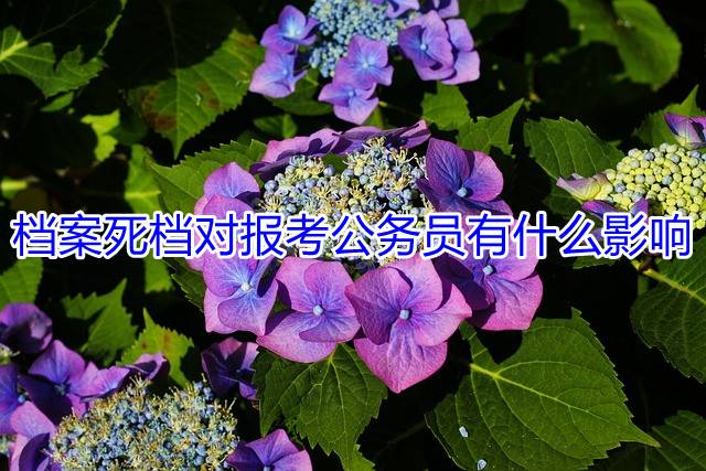 档案死档对报考公务员有什么影响