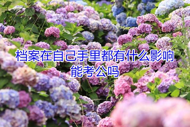 档案在自己手里都有什么影响，能考公吗