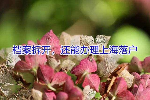 档案拆开，还能办理上海落户