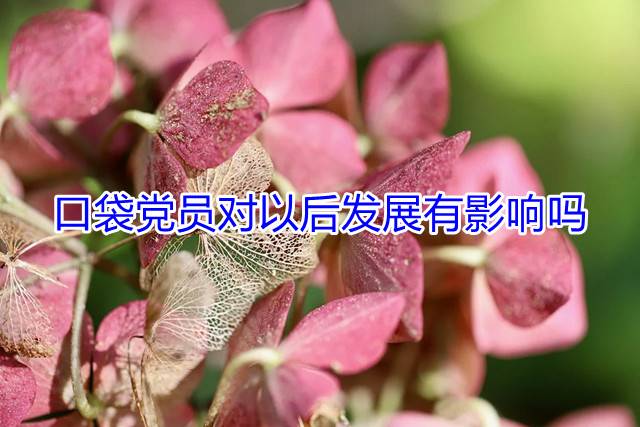 口袋党员对以后发展有影响吗