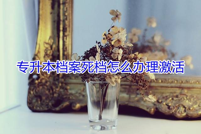 专升本档案死档怎么办理激活
