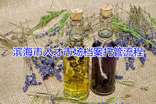 滨海市人才市场档案托管流程