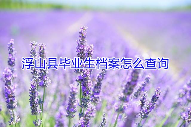 浮山县毕业生档案怎么查询