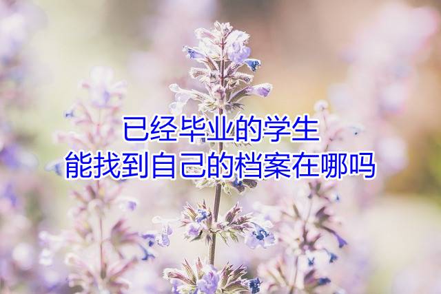 已经毕业的学生能找到自己的档案在哪吗