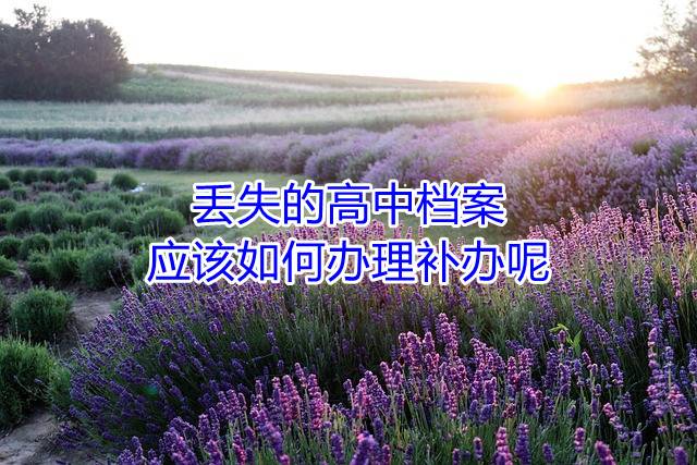 丢失的高中档案应该如何办理补办呢