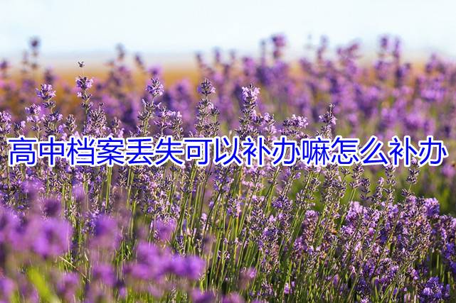高中档案丢失可以补办嘛怎么补办