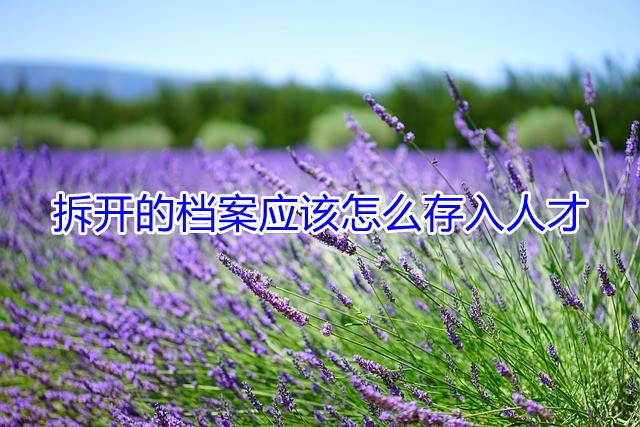 拆开的档案应该怎么存入人才