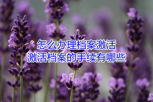 怎么办理档案激活，激活档案的手续有哪些