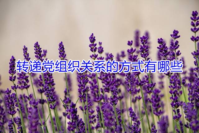 转递党组织关系的方式有哪些