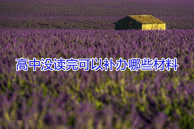高中没读完可以补办哪些材料