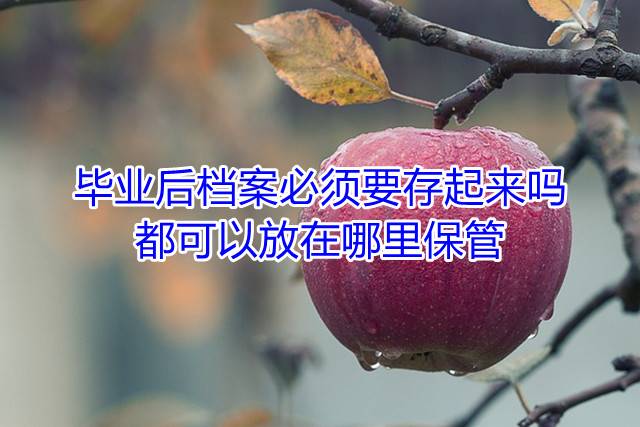 毕业后档案必须要存起来吗，都可以放在哪里保管
