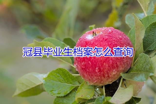 冠县毕业生档案怎么查询