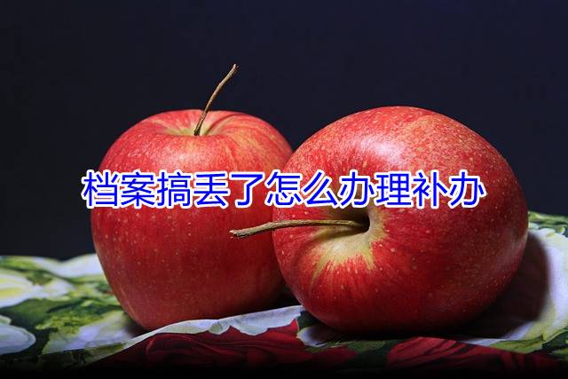 档案搞丢了怎么办理补办