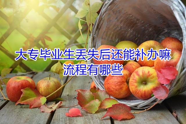 大专毕业生丢失后还能补办嘛，流程有哪些