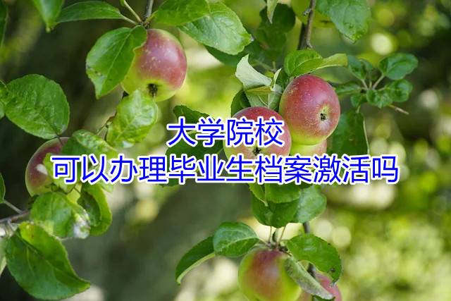 大学院校可以办理毕业生档案激活吗