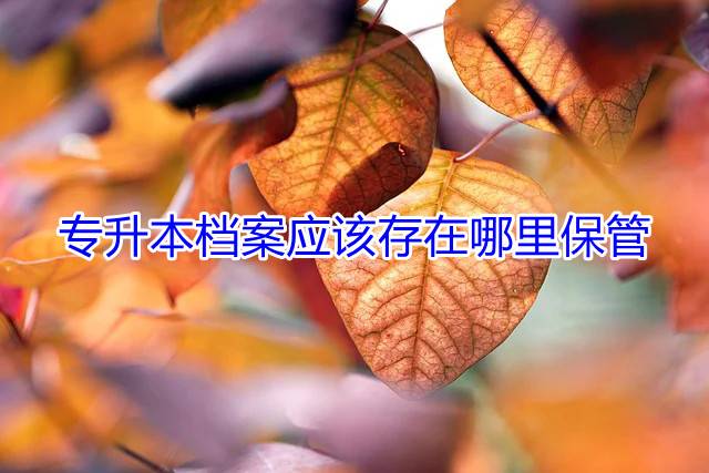 专升本档案应该存在哪里保管