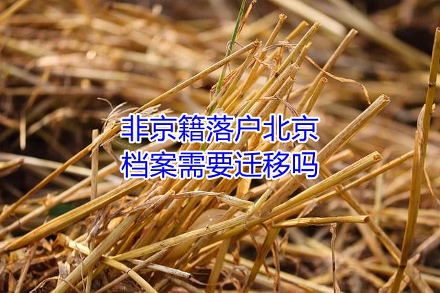 非京籍落户北京,档案需要迁移吗