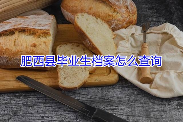肥西县毕业生档案怎么查询