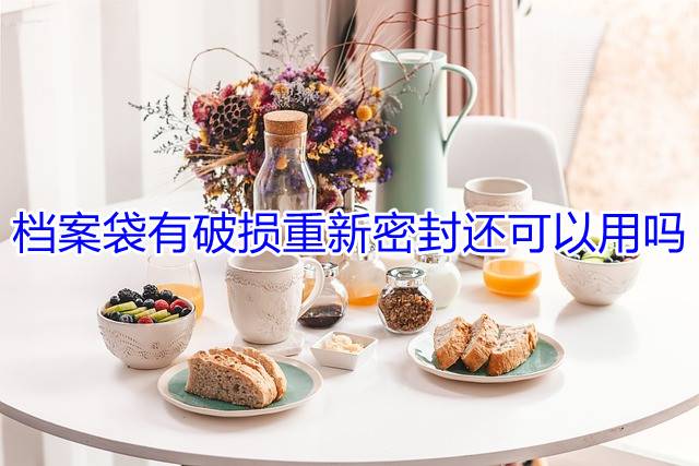 档案袋有破损重新密封还可以用吗
