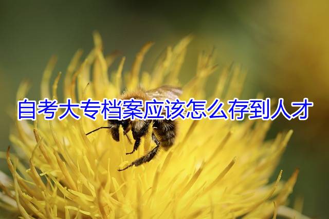 自考大专档案应该怎么存到人才