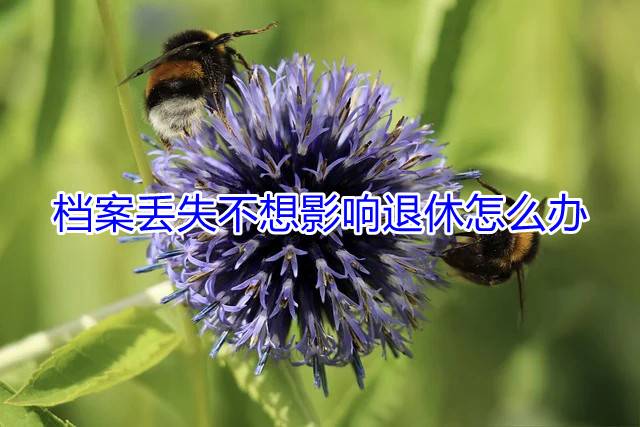 档案丢失不想影响退休怎么办