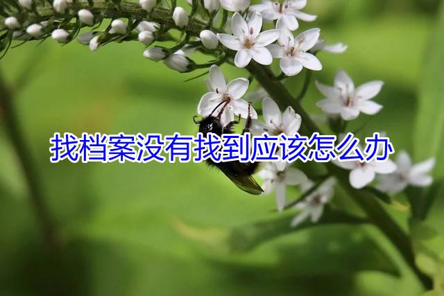 找档案没有找到应该怎么办
