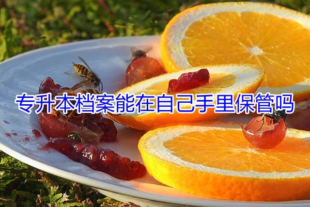 专升本档案能在自己手里保管吗