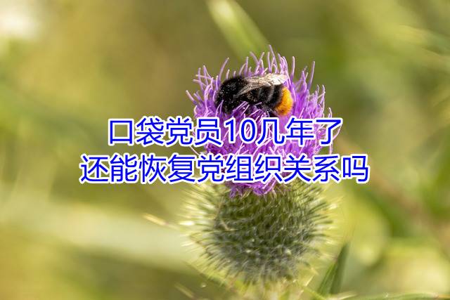 口袋党员10几年了还能恢复党组织关系吗