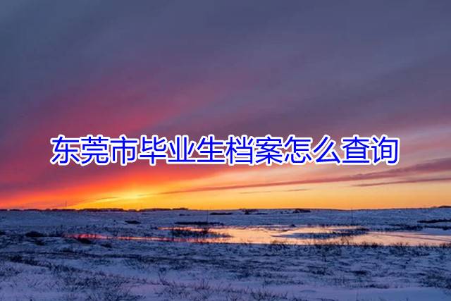 东莞市毕业生档案怎么查询