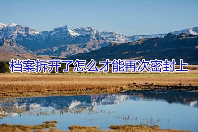 档案拆开了怎么才能再次密封上