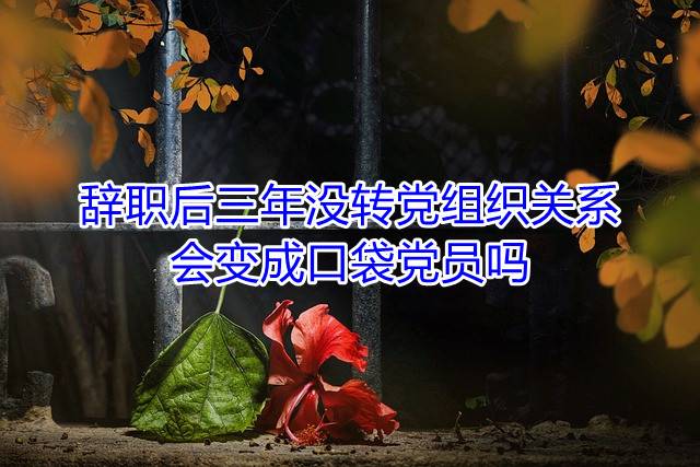 辞职后三年没转党组织关系，会变成口袋党员吗