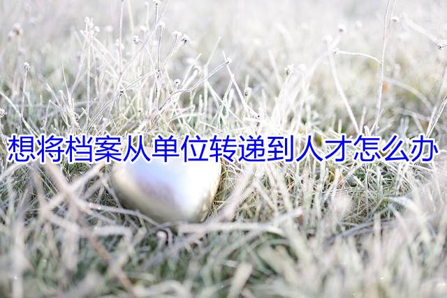 想将档案从单位转递到人才怎么办