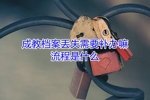 成教档案丢失需要补办嘛，流程是什么