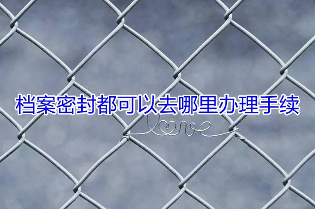 档案密封都可以去哪里办理手续
