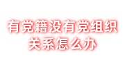 有党籍没有党组织关系怎么办