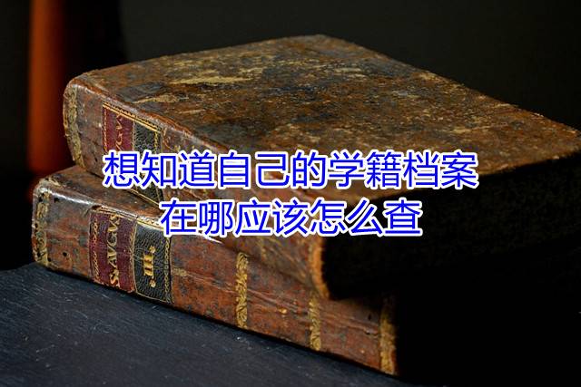 想知道自己的学籍档案在哪应该怎么查